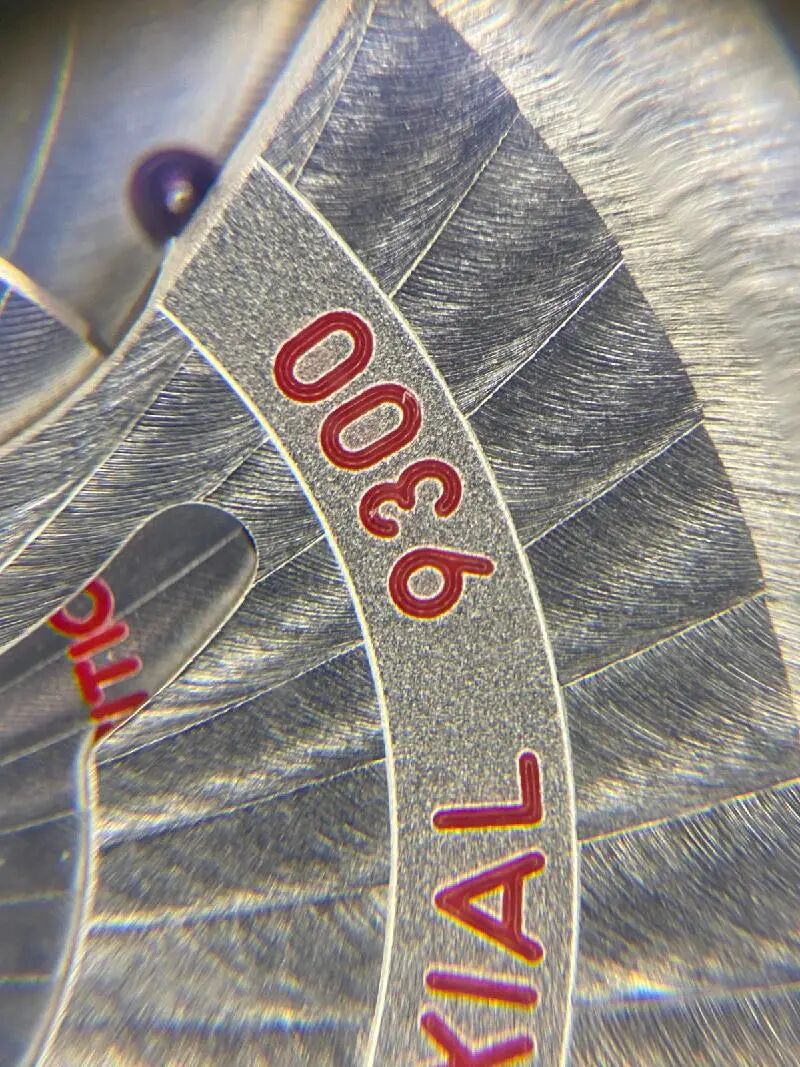 1784214464888156.jpg 12.jpg